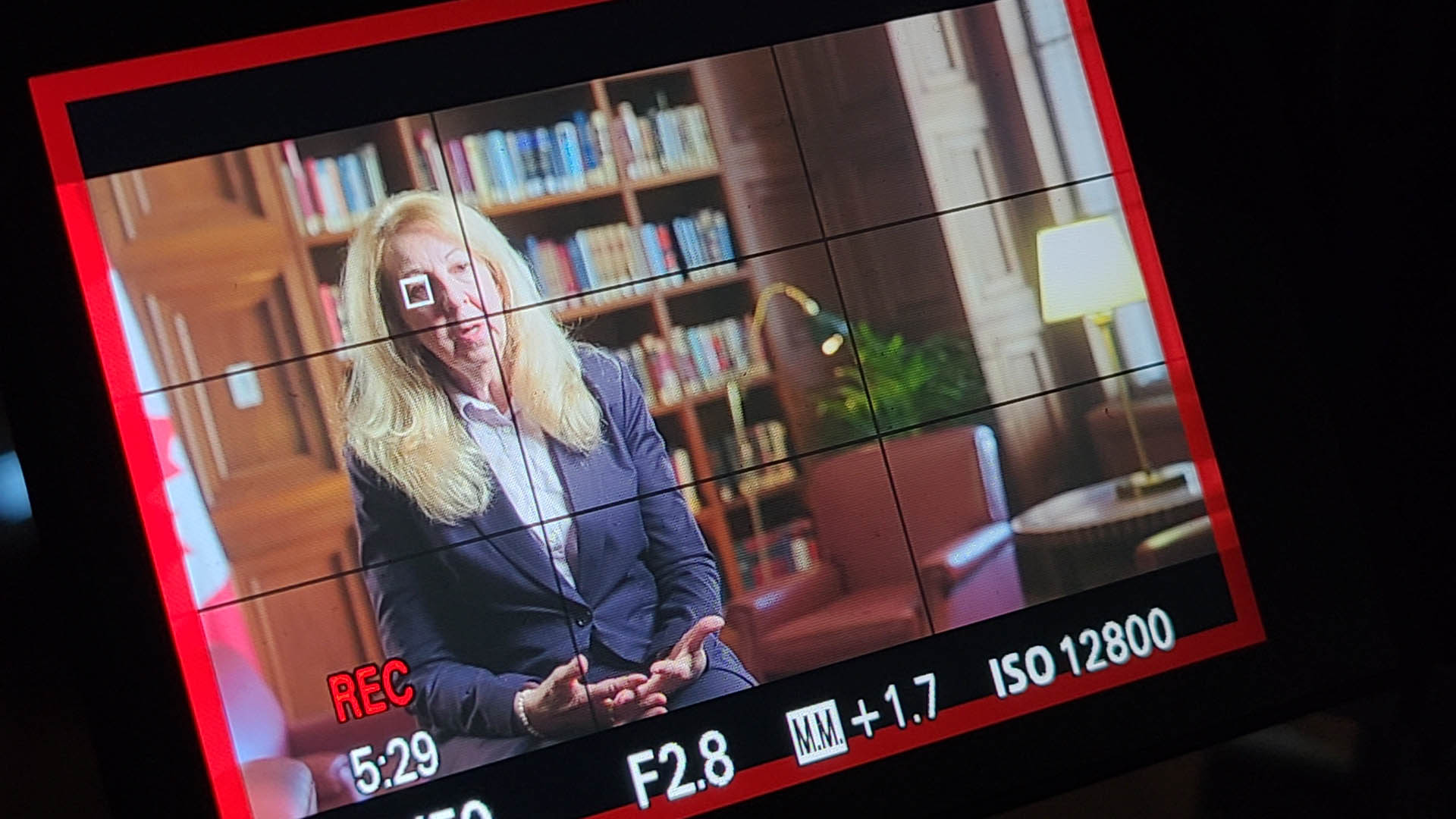 The honourable Justice Mary T. Moreau